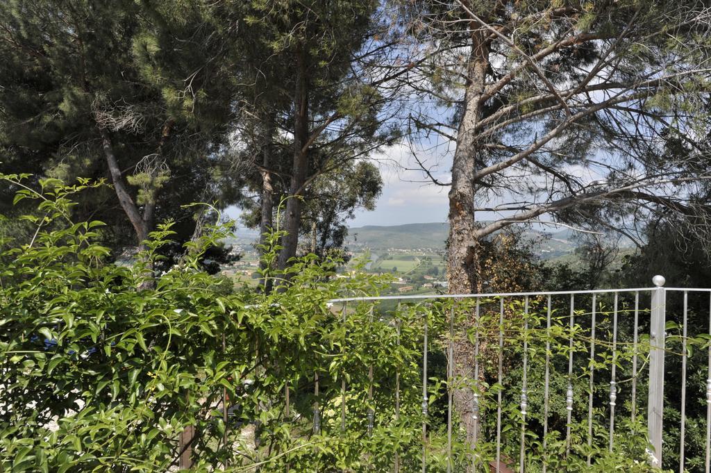 Agriturismo La Grotta San Giuliano Terme Buitenkant foto