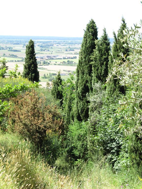 Agriturismo La Grotta San Giuliano Terme Buitenkant foto