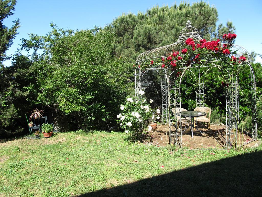 Agriturismo La Grotta San Giuliano Terme Buitenkant foto